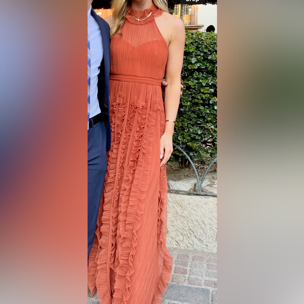 BCBGMaxAzria cinnamon stick gown